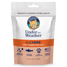 Under the Weather Cat L-Lysine Chews, 60ct