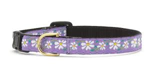 Up Country Daisy Cat Collar