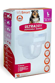 WizSmart UltraDry Disposable Diapers, L