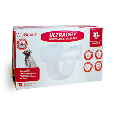 WizSmart UltraDry Disposable Diapers, XL