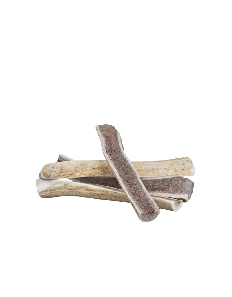 Primal Elk Antler Split, XL