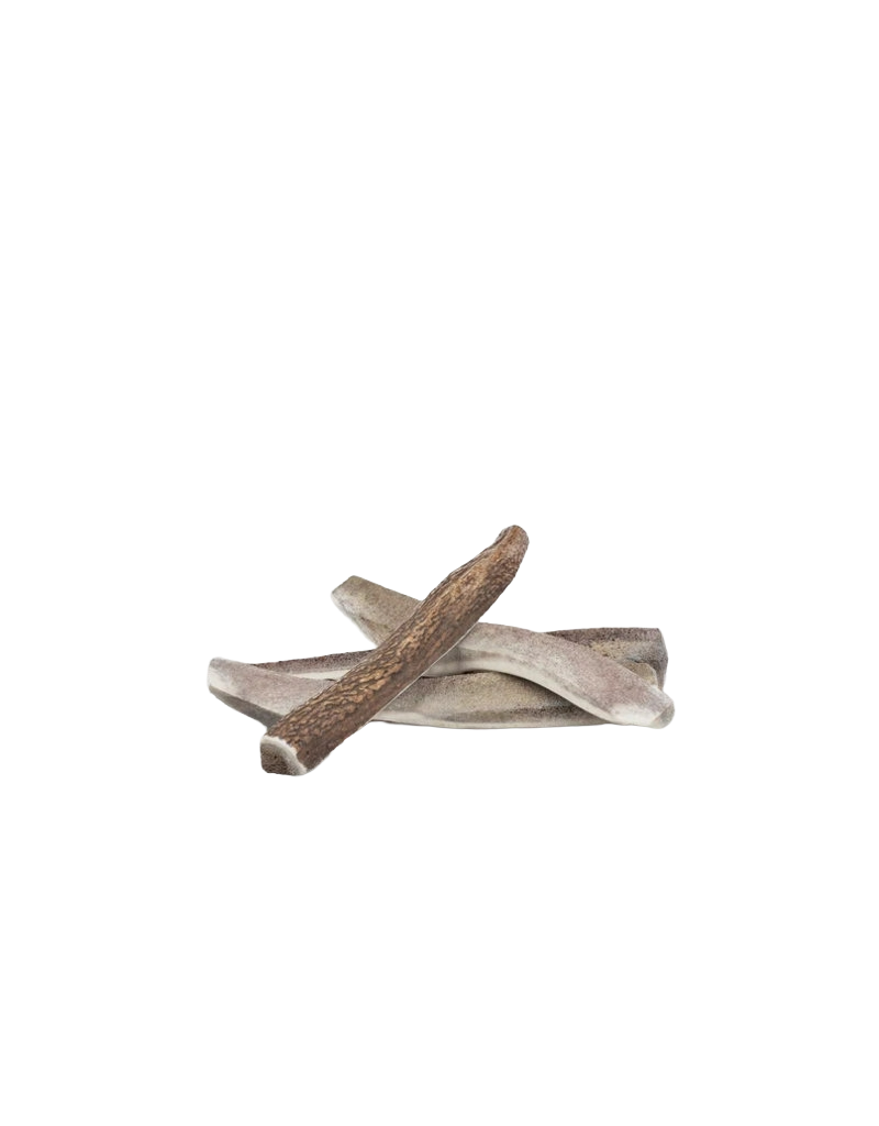 Primal Stag Antler Split, L