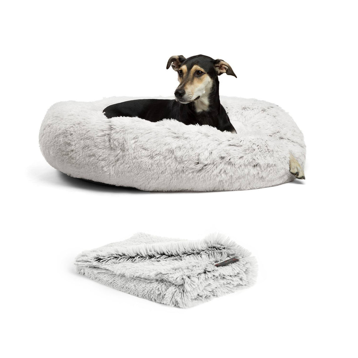 Donut Shag Bundle Bag Bed and Blanket 36x36