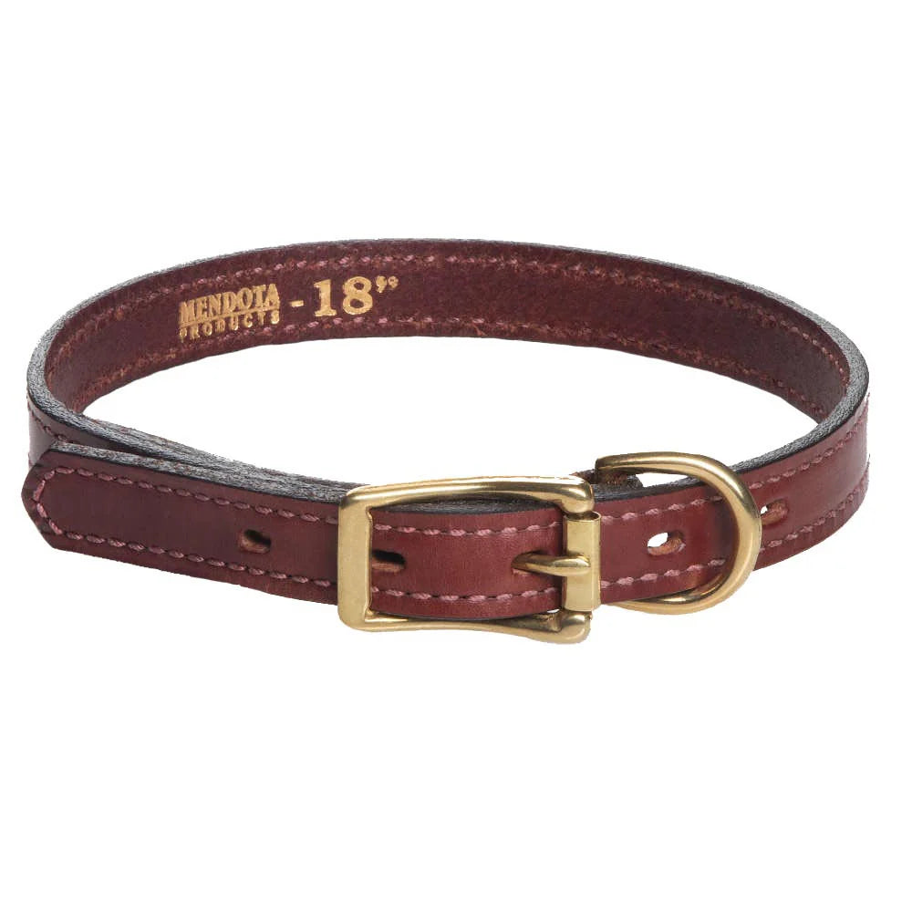 Leather Standard Collar