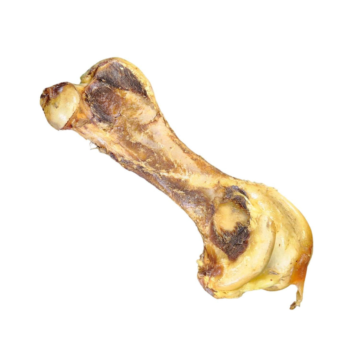 Savannah Ostrich Hip Bone, Large