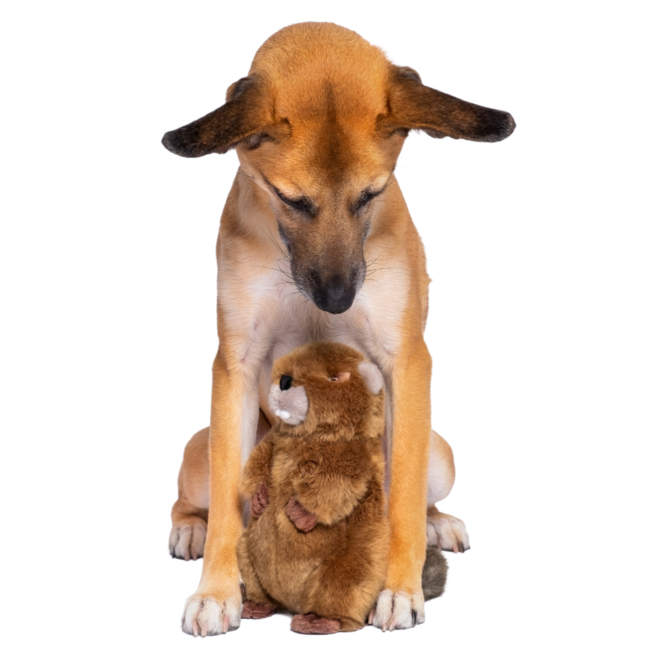 Fluff & Tuff Troy Beaver Dog Toy