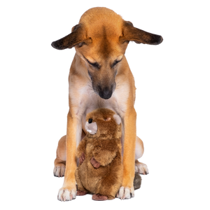 Fluff & Tuff Troy Beaver Dog Toy