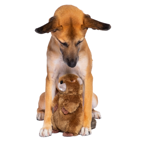 Fluff & Tuff Troy Beaver Dog Toy