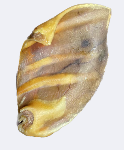 Fetchin Brands Pig Ear