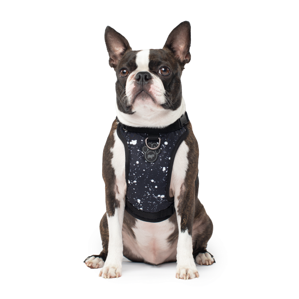 Canada Pooch Everything Harness, Black Splatter, M