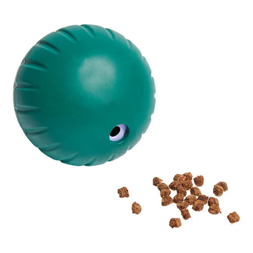 Woof Forager Walkabout, S