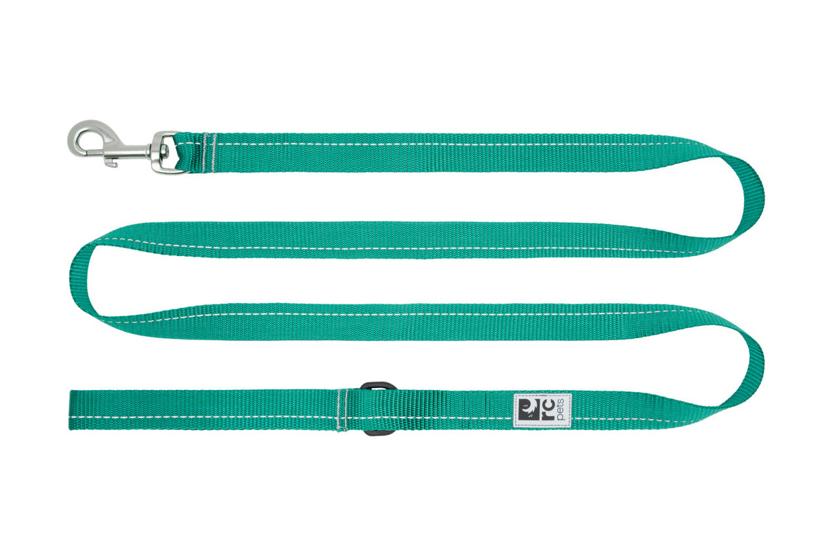 RC Pet Dog Leash 3/4X6", Parakeet