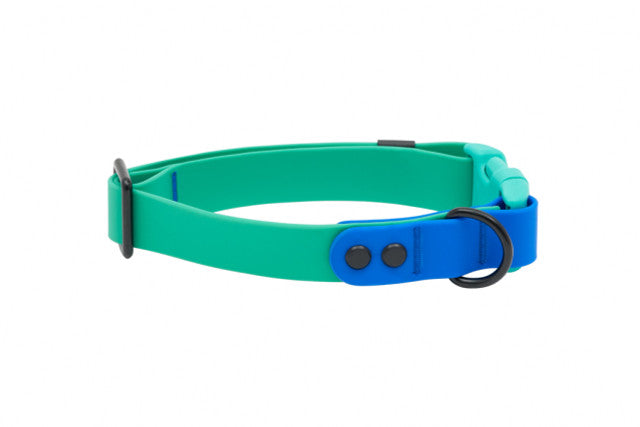 RC Pet Waterproof Collar, Parakeet/Sapphire, L