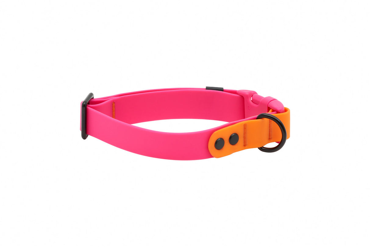 RC Pet Waterproof Collar, Azalea/Orange, M