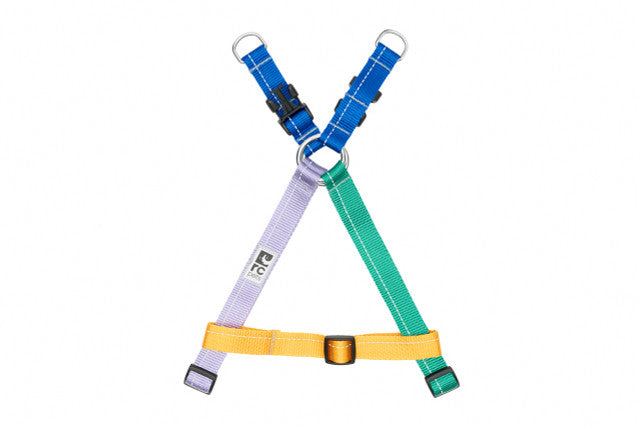 RC Pet Primary Step in Harness Confection, S