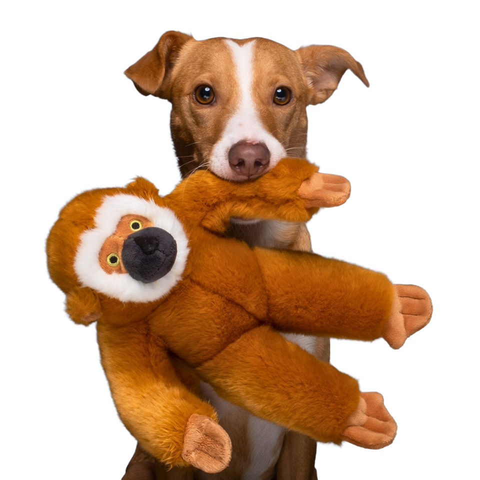 Fluff & Tuff Marcel Monkey Dog Toy