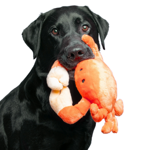 Fluff & Tuff Phyllis the Crab