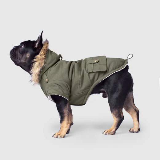 Canada Pooch Alaskan Army Parka, Green, Size 14+