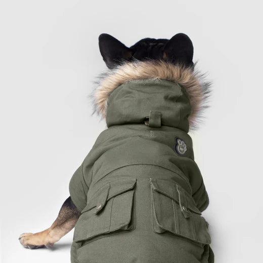 Canada Pooch Alaskan Army Parka, Green, Size 14+
