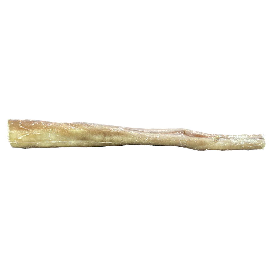 Jumbo Bully Stick 10"