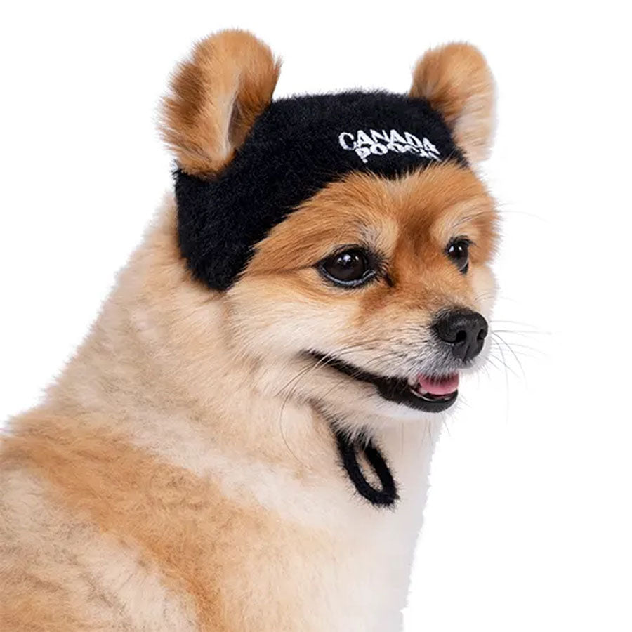 Canada Pooch Black Pawparazzi Beanie