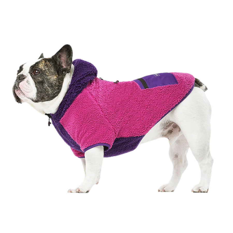 Canada Pooch Cool Factor Hoodie Pink/Purple