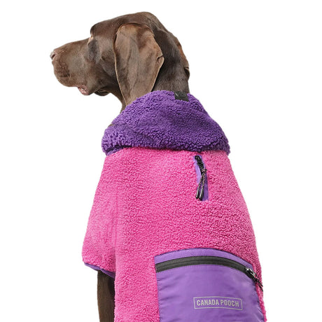 Canada Pooch Cool Factor Hoodie Pink/Purple
