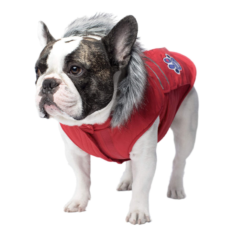 Canada Pooch Dog Everest Explorer Jacket Red Reflect