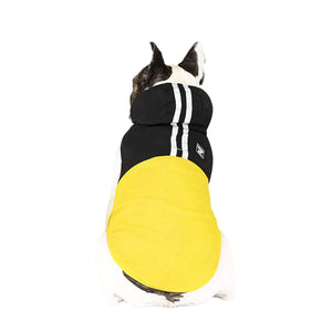 Canada Pooch Dog Pack It Jacket Black/Yellow