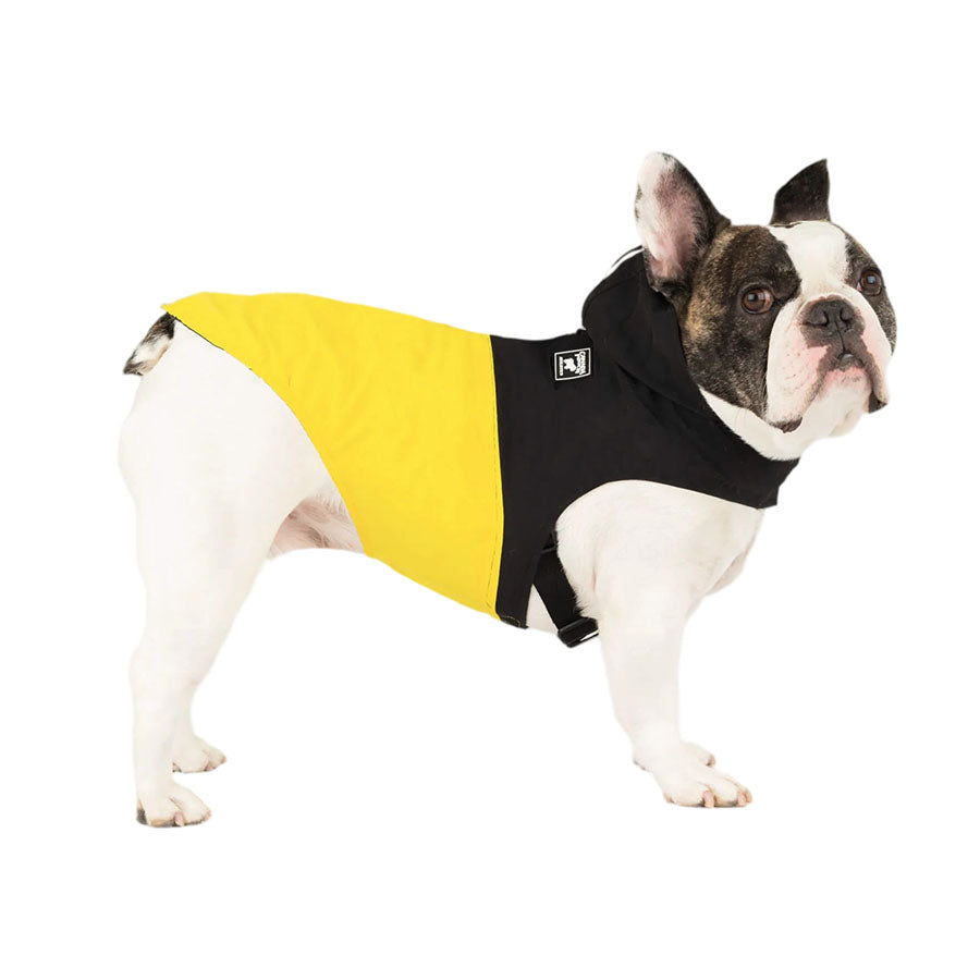Canada Pooch Dog Pack It Jacket Black/Yellow