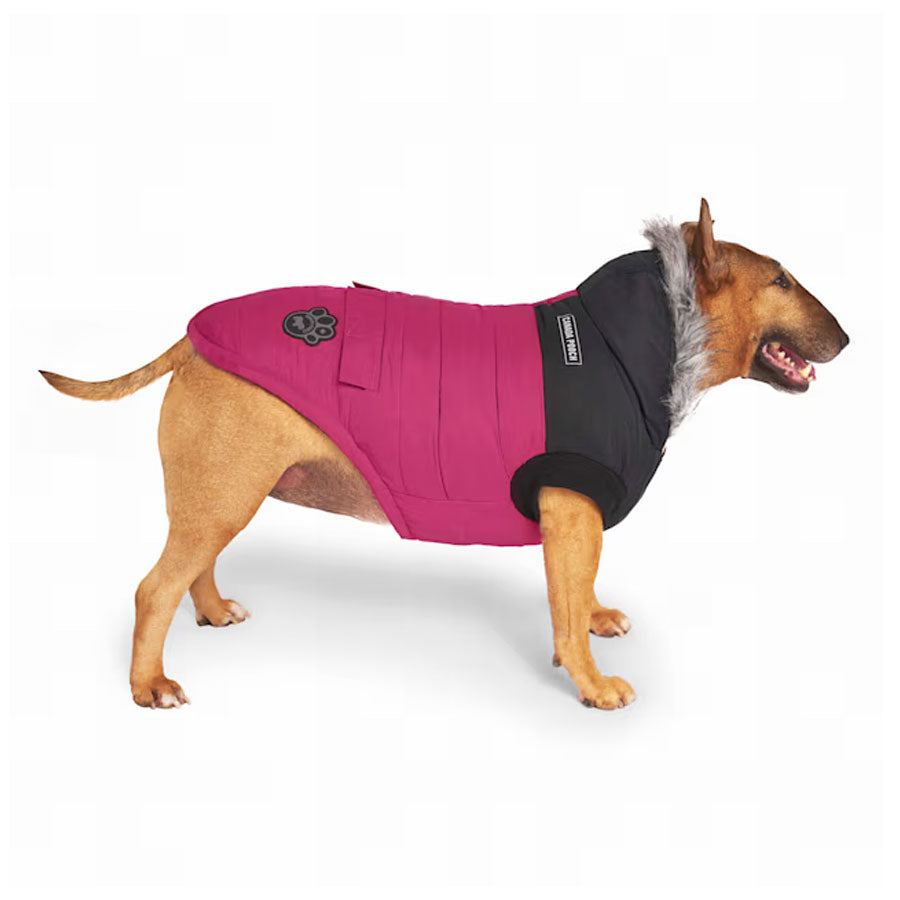 Canada Pooch Dog True North Parka Shiny Pink