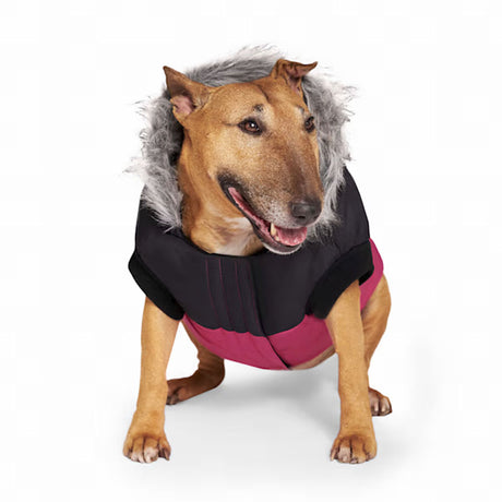Canada Pooch Dog True North Parka Shiny Pink