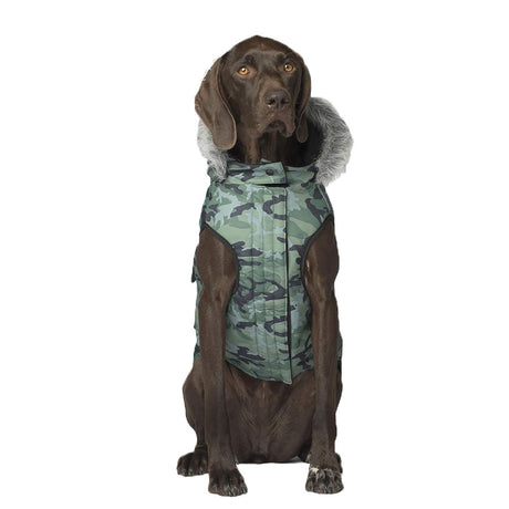 Canada Pooch Everest Explorer Green Camo