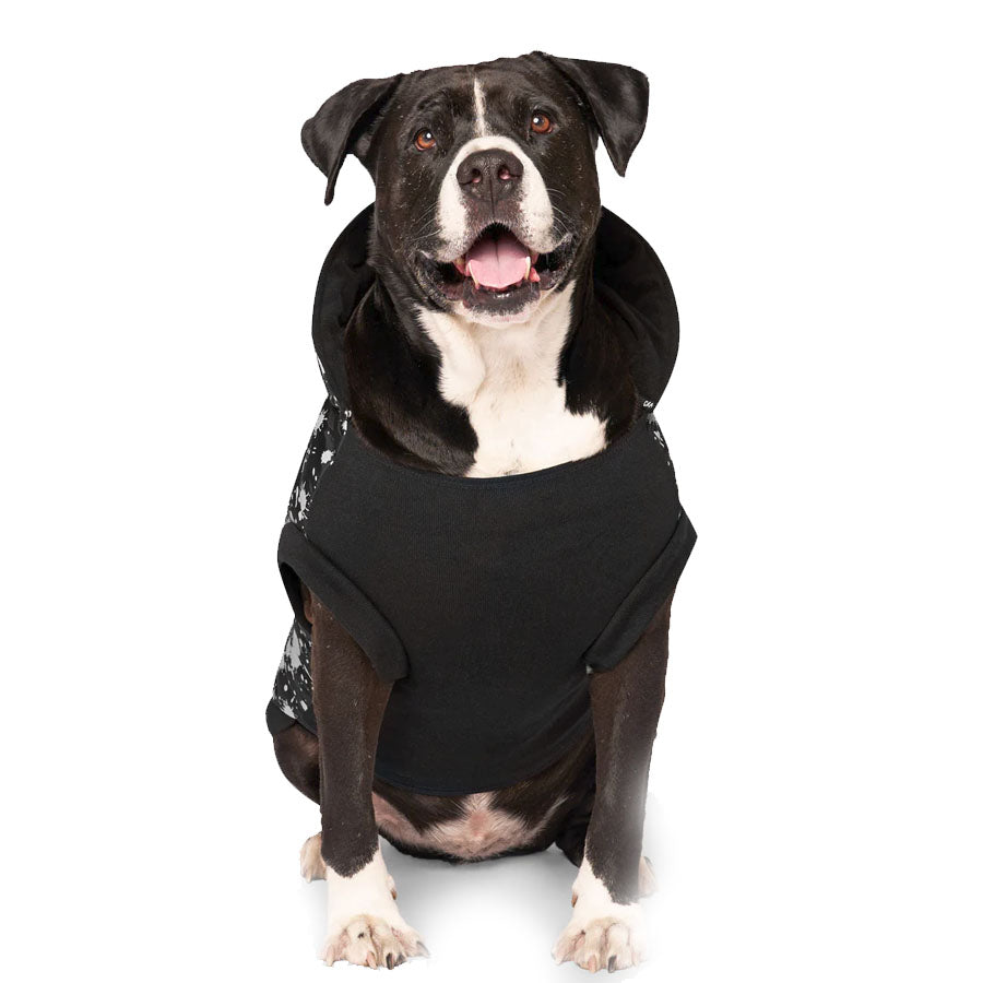 Canada Pooch Glow in the Dark with Black Splatter Prism Puffer