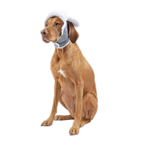 Canada Pooch Grey Artic Air Hat