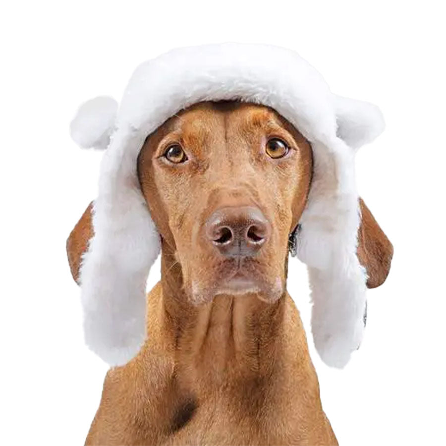 Canada Pooch Grey Artic Air Hat