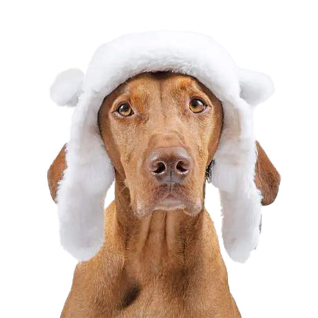 Canada Pooch Grey Artic Air Hat