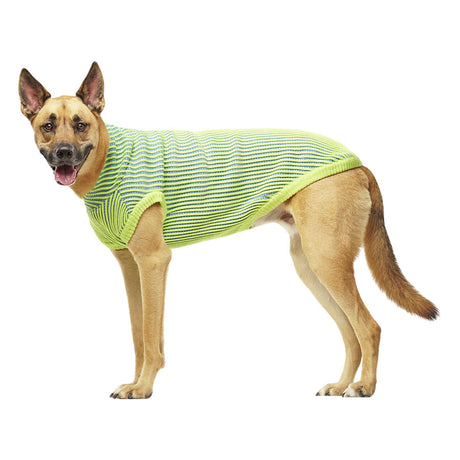 Canada Pooch Icon Sweater Green/Blue