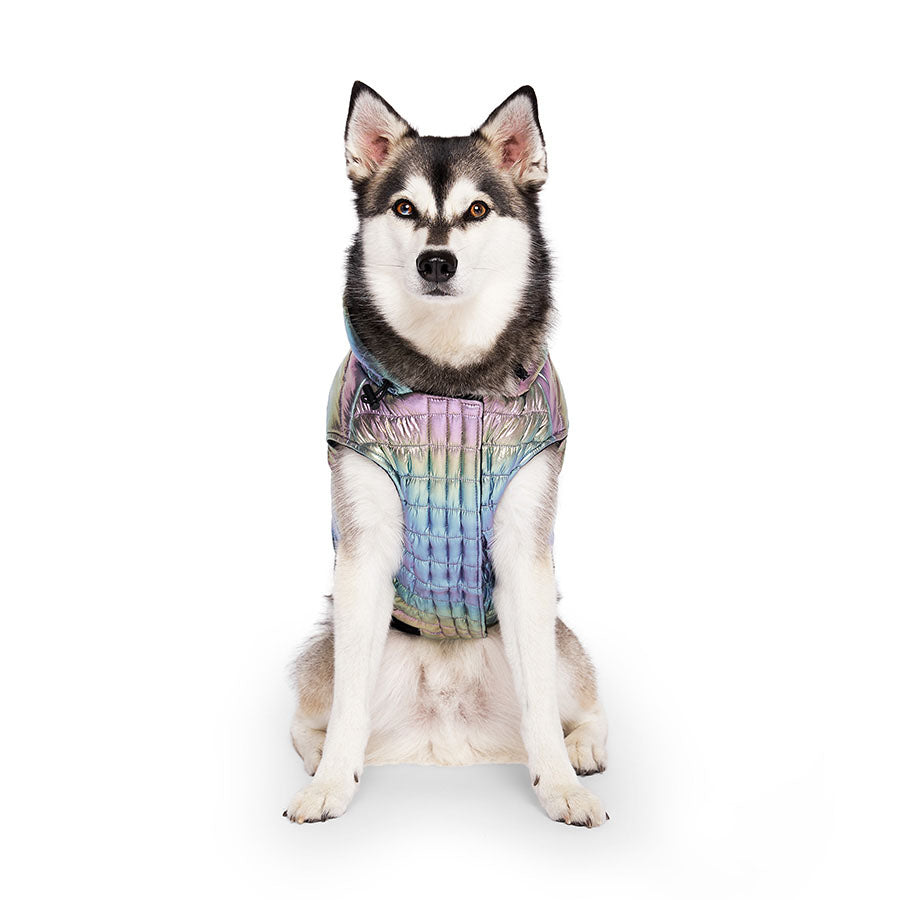 Canada Pooch Iridescent Shiny Puffer Vest