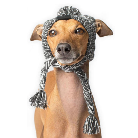 Canada Pooch Polar Charcoal Pom Pom Hat