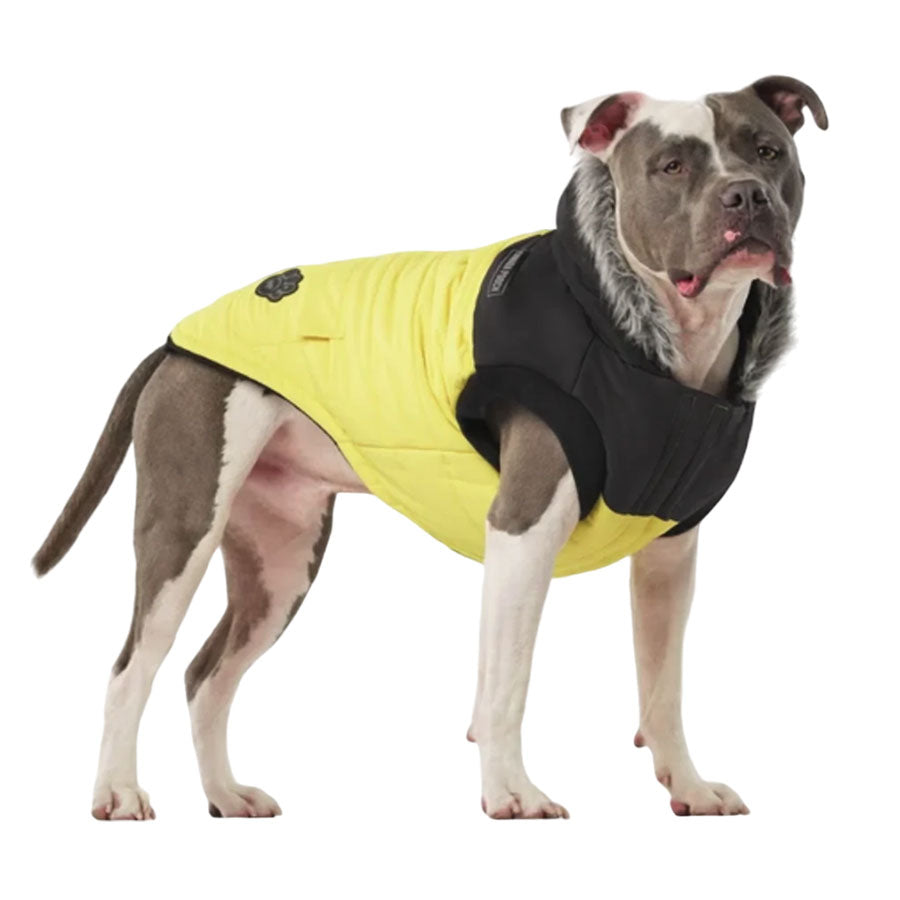 Canada Pooch True North Parka Yellow