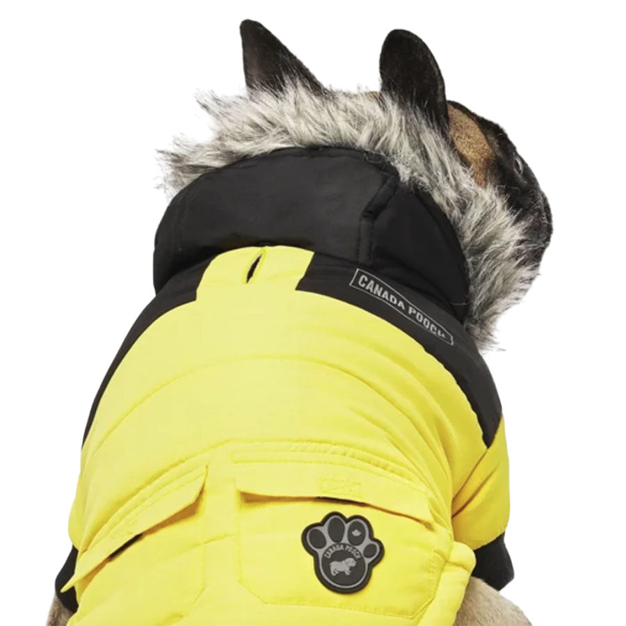 Canada Pooch True North Parka Yellow