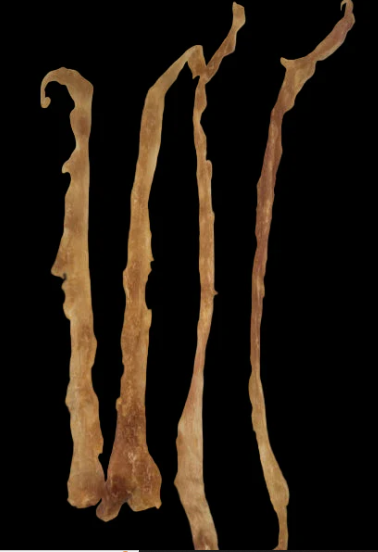 Fetchin Brands Turkey Tendon