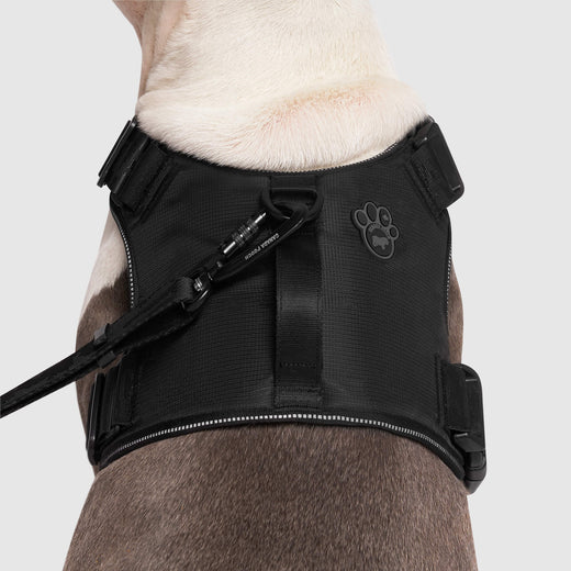 Canada Pooch Complete Control Harness, Black, XL