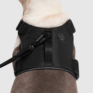 Canada Pooch Complete Control Harness, Black, XL