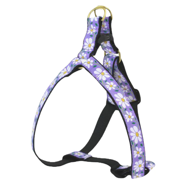 Up Country Daisy Dog Harness, XS