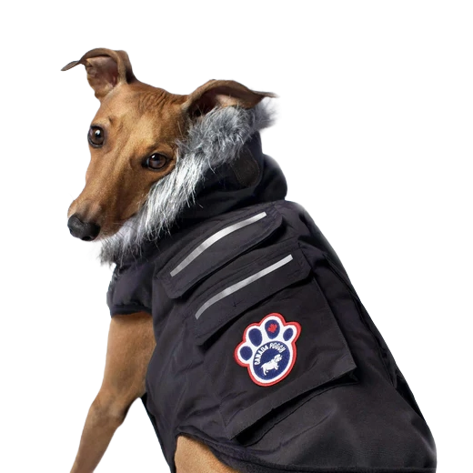Canada Pooch Everest Explorer Jacket, Black, Size 18