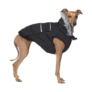 Canada Pooch Everest Explorer Jacket, Black, Size 12