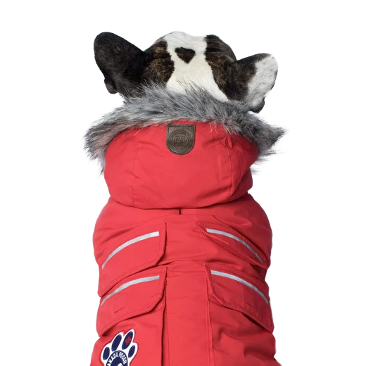 Canada Pooch Everest Explorer Jacket, Red, Size 14