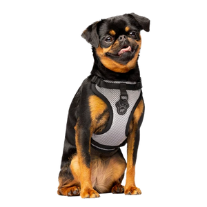 Canada Pooch Everything Harness, Reflective Mesh, XL